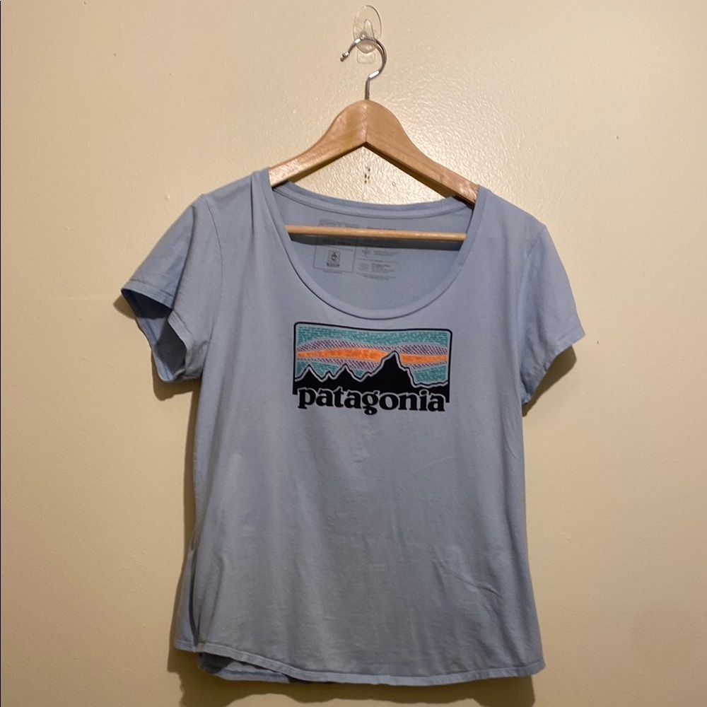 Patagonia Organic Cotton Blue Fitted Short Sleeve T-Shirt. Size M